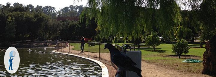 Encino